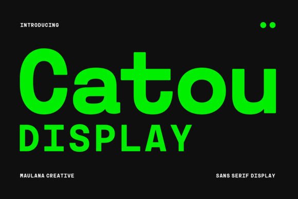 Bringing Bold Clarity with the Catou Display Typeface