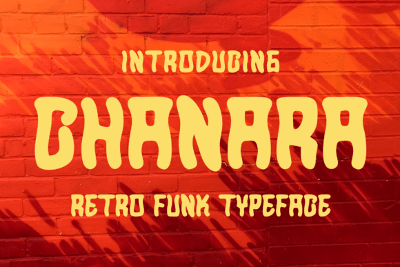 Chanara: A Groovy Retro Display Font for Web Design