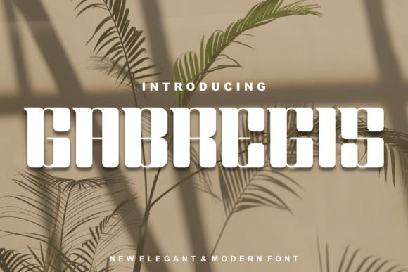 Gabregis: A Designer's Honest Review of This Display Typeface