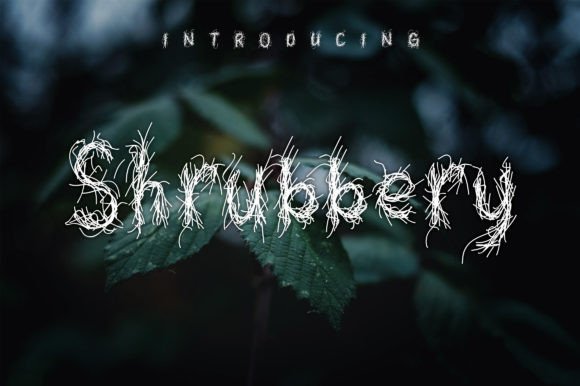 Shrubbery: A Playful Display Font for Standout Branding